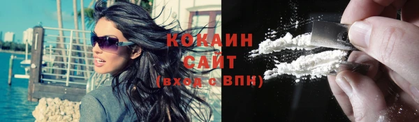 стаф Новокубанск