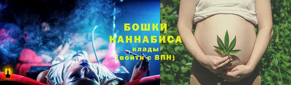 стаф Новокубанск