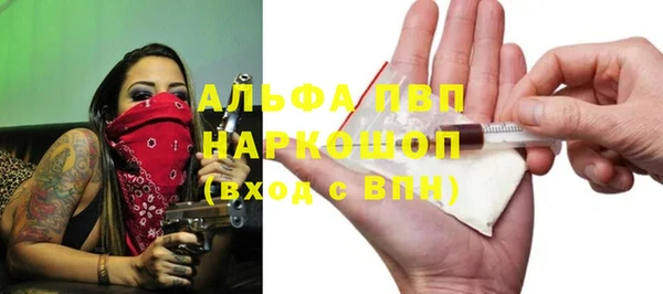 стаф Новокубанск