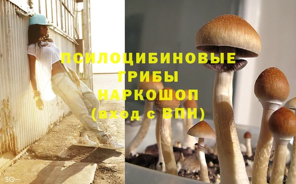 PSILOCYBIN Семикаракорск