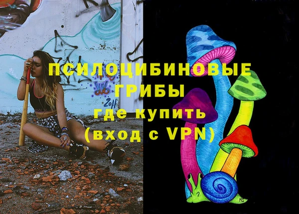 PSILOCYBIN Семикаракорск