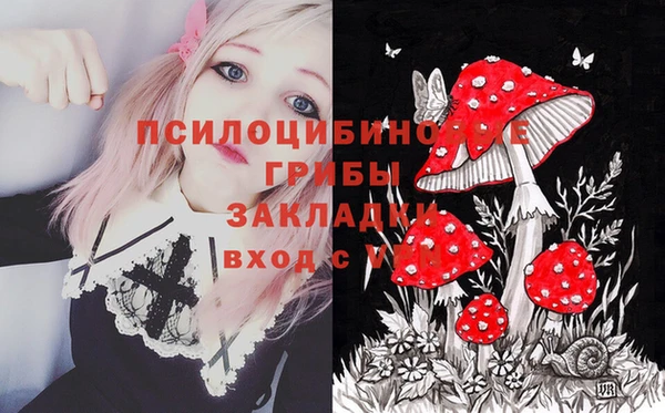 PSILOCYBIN Семикаракорск