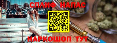 индика Гай