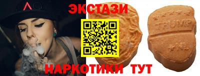индика Гай