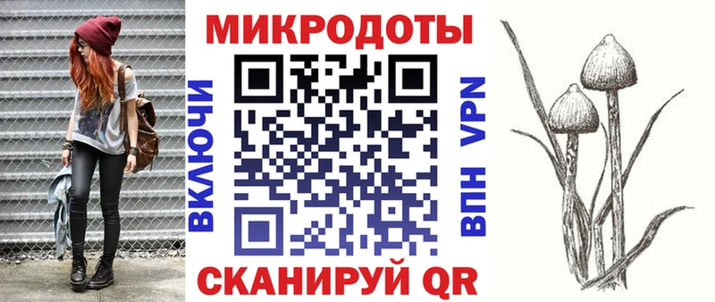 Псилоцибиновые грибы прущие грибы  Северск 
