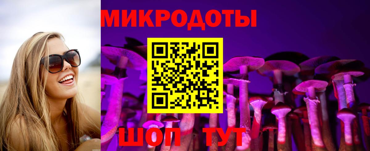Северск  Псилоцибиновые грибы прущие грибы  Вход с VPN 