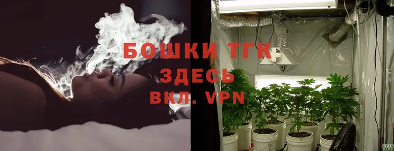Бошки Шишки THC 21%  магазин продажи   Северск 
